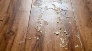 Czym zmyć sidolux z paneli domowym sposobem